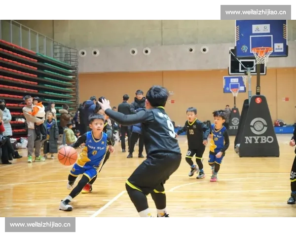 全程高清篮球赛事直播平台 官网精彩赛事实时更新