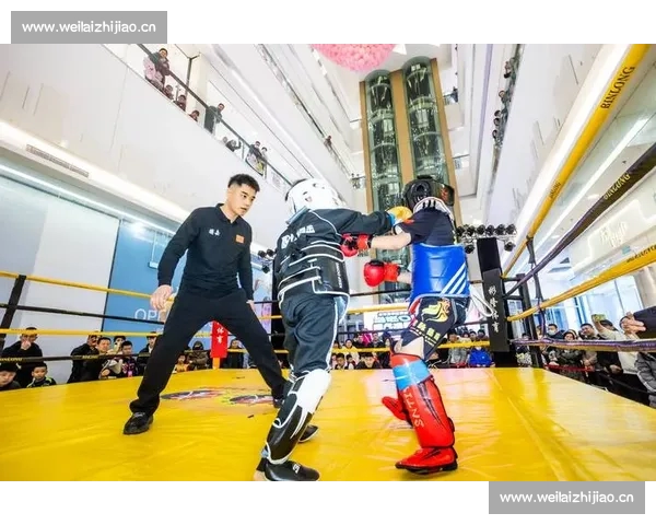 全面升级体育娱乐体验 打造全新综合娱乐盛宴