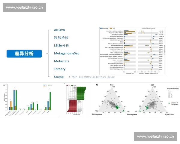 英超赛前数据分析与策略预测方法探讨 英超赛前数据分析与策略预测方法探讨