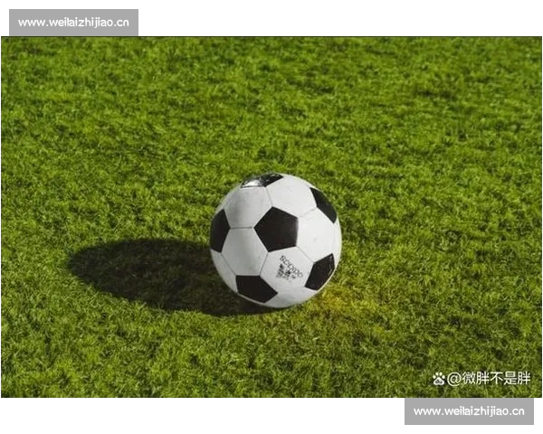 畅享全球足球赛事直播体验免费下载,让你不漏任何精彩比赛瞬间 畅享全球足球赛事直播体验免费下载,让你不漏任何精彩比赛瞬间